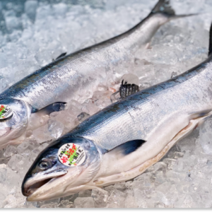 鮮魚(ときしらず)